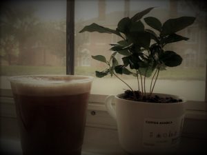 College Student a Hit with 'Dorm Coffee' 10 060421-01-Coffee