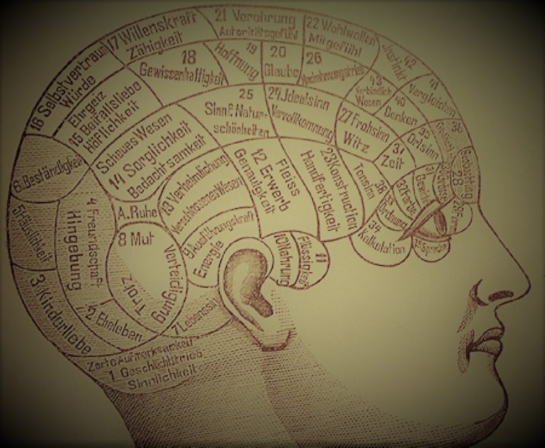 Philosophy of Mind: Lifelong Learning and Cognitive Development 46 060621-01-Philosophy