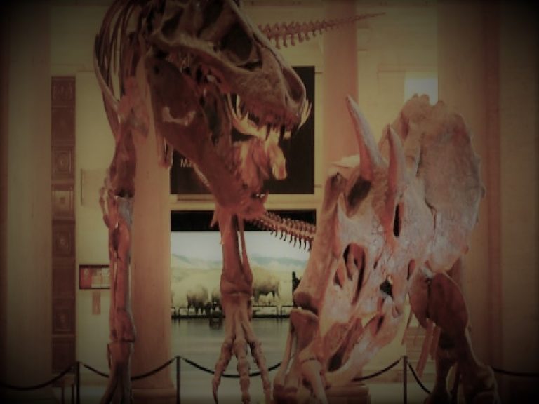 070821-06-History-Archaeology