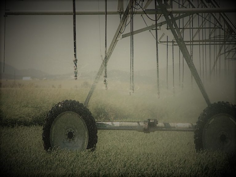 Sprinkler system irrigation near Bozeman, Montana. July 2008.