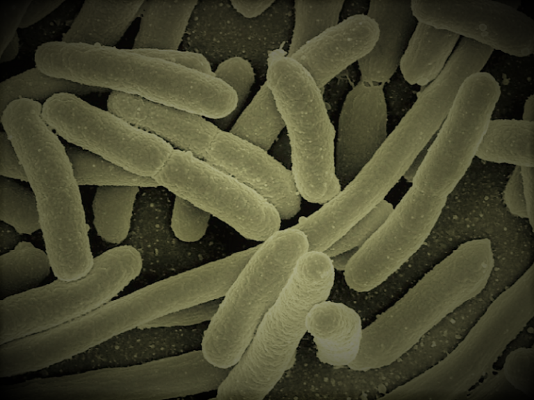 081121-06-Science-Medicine