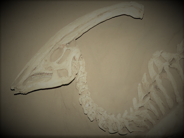 Is It Really Possible to Recreate Dinosaurs from Their DNA? 22 081821-28-Paleontology