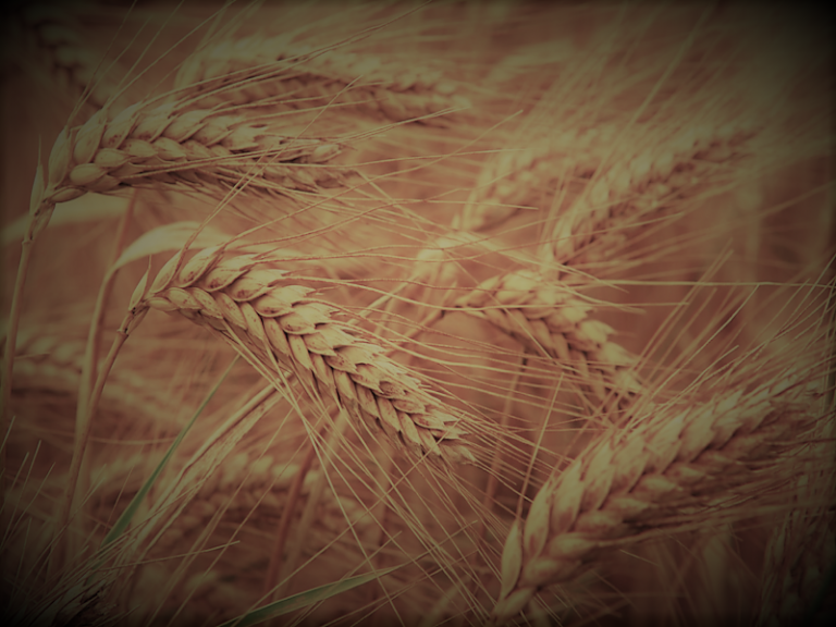 081921-01-History-Agriculture