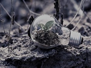 Ways You Can Contribute to a Healthier Environment 25 ContributeHealtherEnvironment-CarlaAdams02