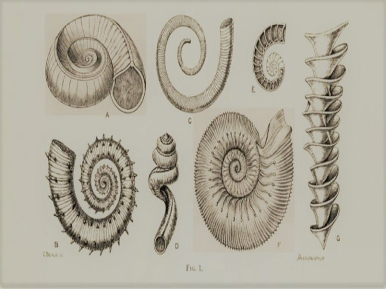 091221-30-History-Art-Biology