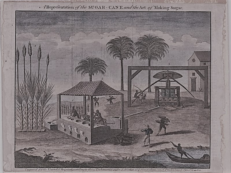 The History Of Sugar Production In Suriname