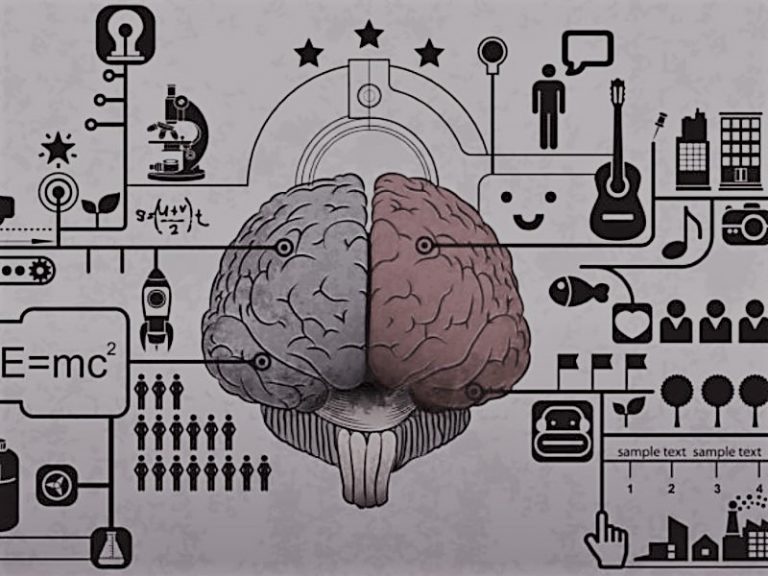 TrainBrainSharpenMind-JamesHarris02