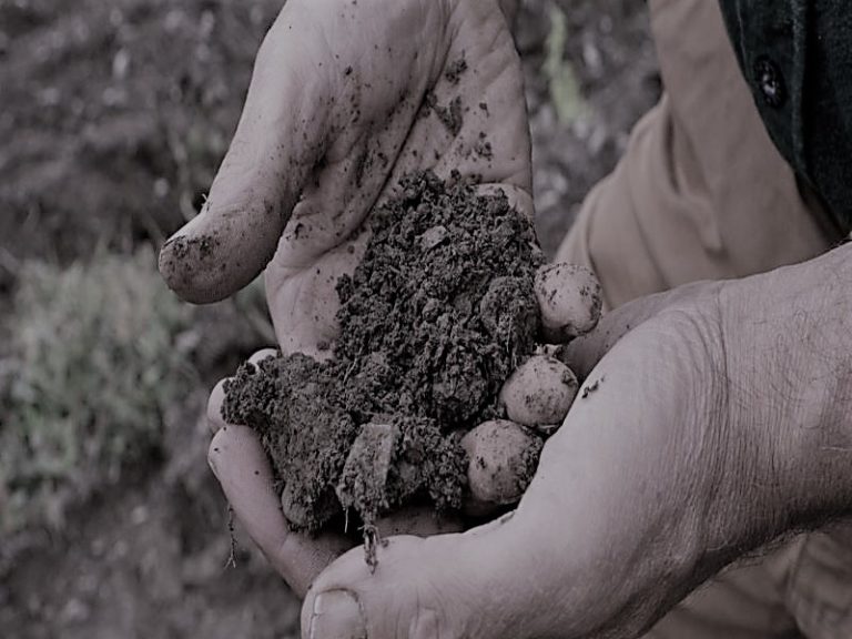 101121-21-Climate-Change