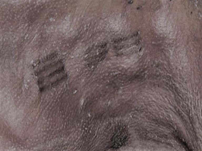 101721-01-History-Art