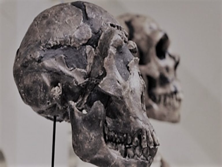 101921-18-Prehistoric-Migration