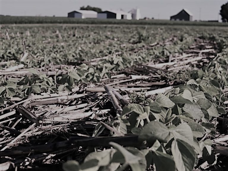 102021-08-Climate-Change