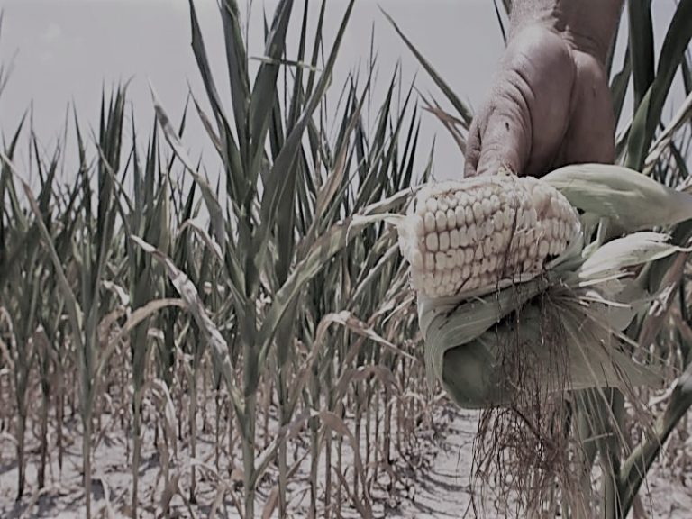 102021-22-Climate-Change