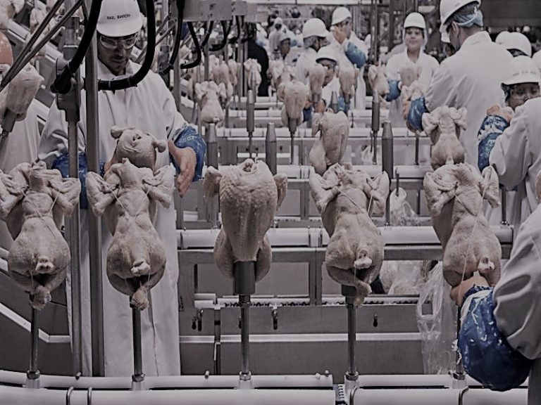 110621-05-Food-Disease