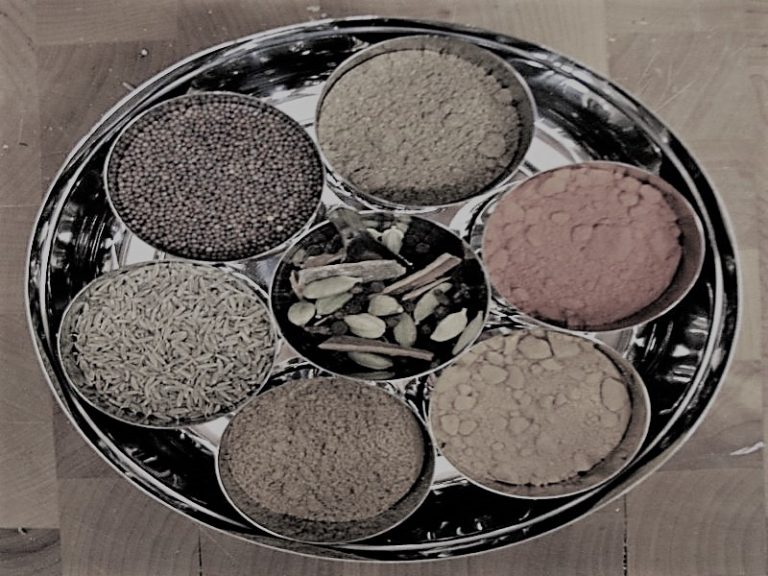 110621-42-Food-India