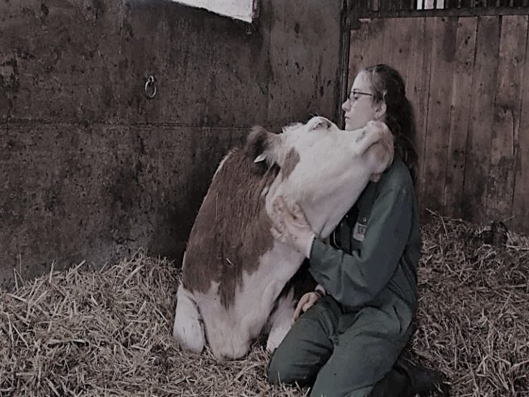 110721-06-Health-Food