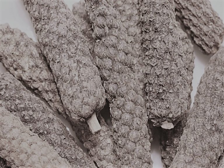 112821-50-History-Food