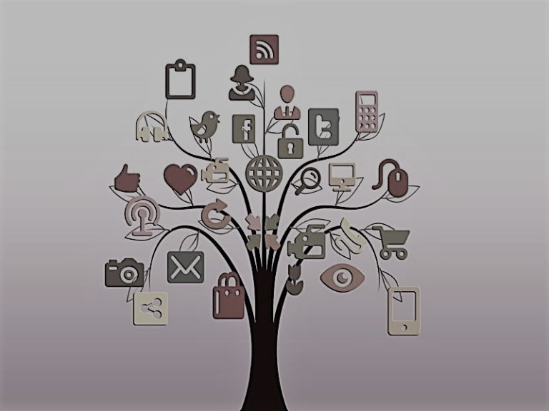 ImportanceSocialMedia-AmyFischer01