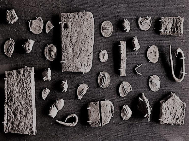 121621-01-History-Money