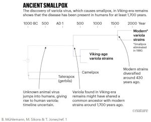The Ancient Origins of Smallpox and Other Viruses