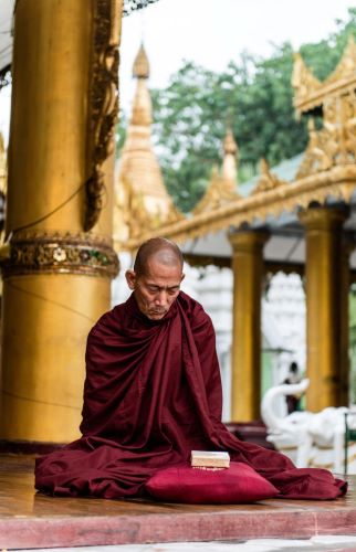 Buddha and Mind: How a Religious Practice Fascinated Neuroscientists 8 Buddha and Mind: How a Religious Practice Fascinated Neuroscientists