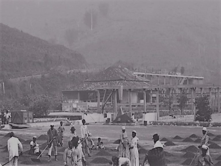 Marc Ferrez: 'Slaves at a Coffee Yard in a Farm', Sao Paulo, 1882 13 122421-84-History-Slavery