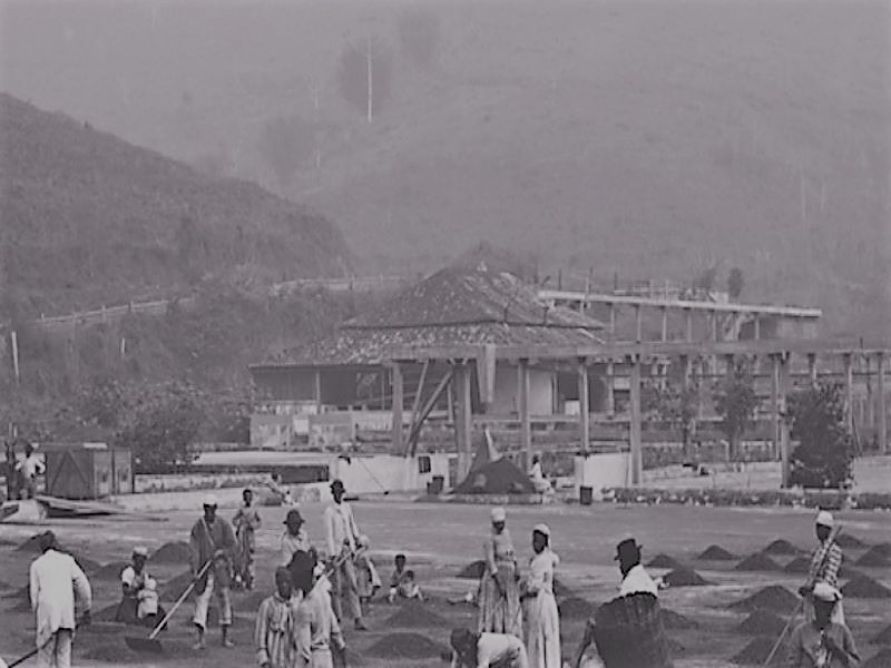 Marc Ferrez 'Slaves at a Coffee Yard in a Farm', Sao Paulo, 1882