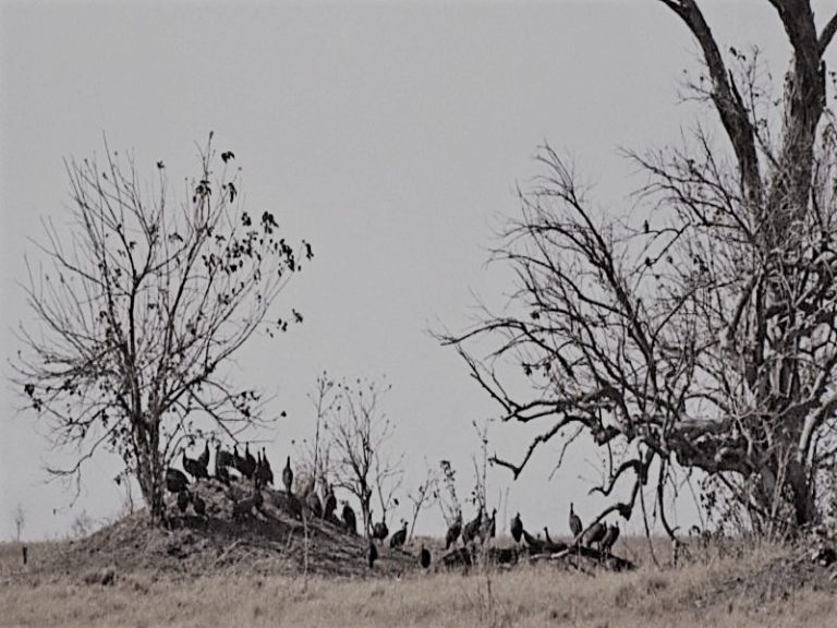 122721-16-Climate-Change