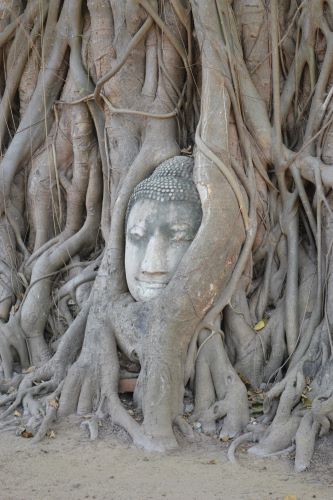 The 'Wheel of Life' and the Four Noble Truths of Buddhism