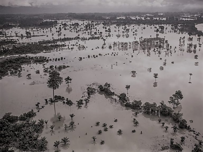 123121-59-Climate-Change