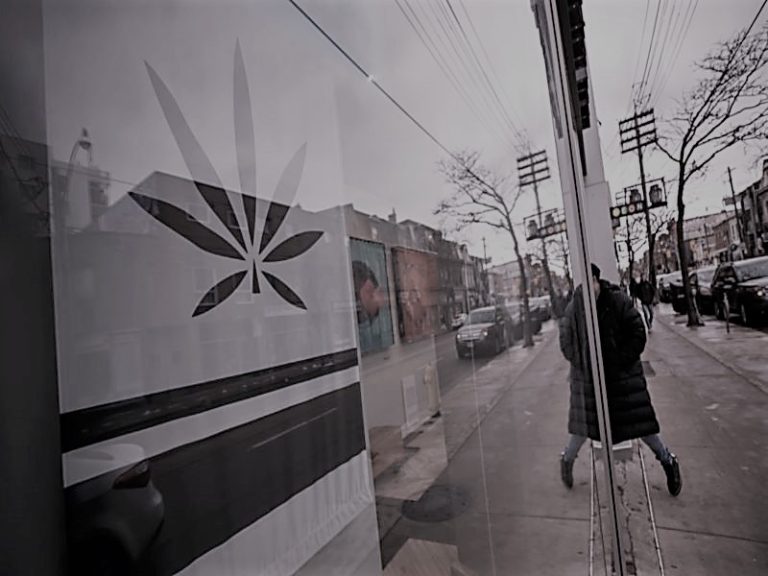 COVID19Cannabis-AnnSmith02