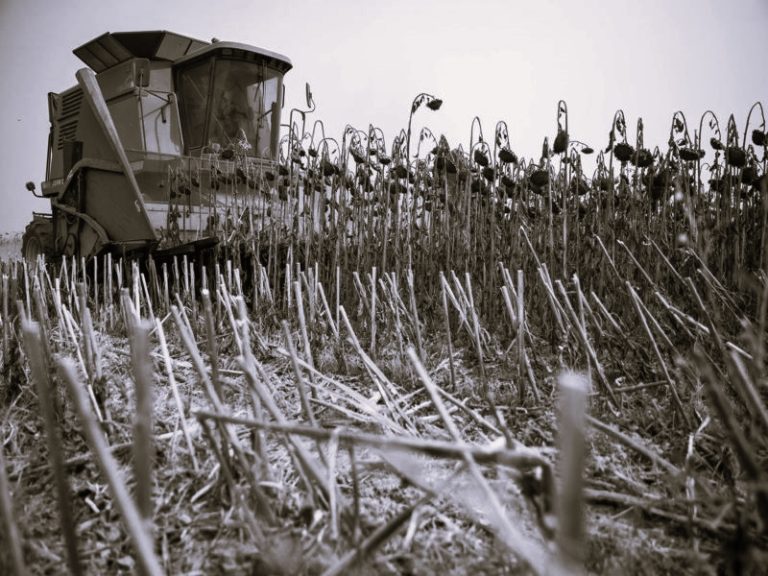 020522-01-Agriculture