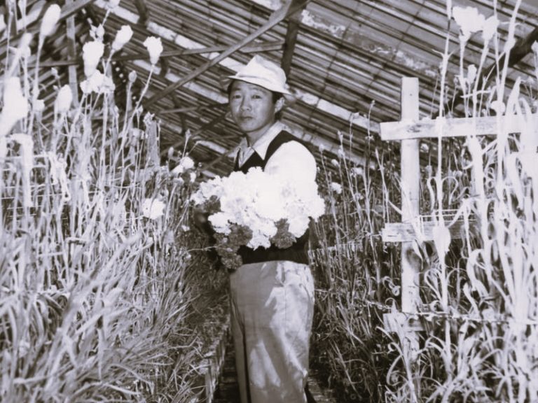 021522-21-History-Literature