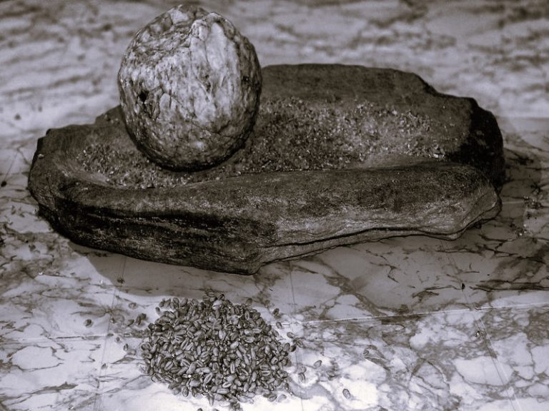 021622-20-History-Agriculture