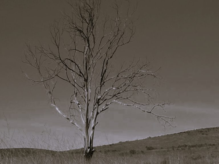 022322-26-Climate-Change