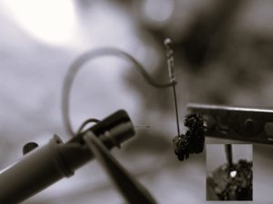 The History of LED Lighting: Then and Now 61 HistoryLEDLighting-WillBail03