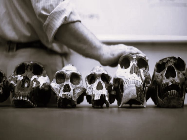 PrehistoricHumanSpecieseurope100