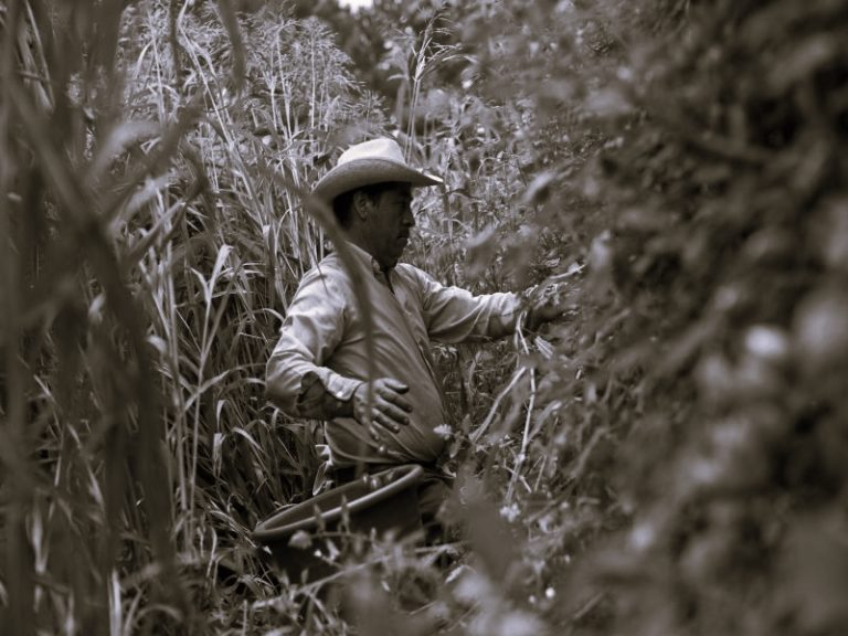 041822-18-Immigration