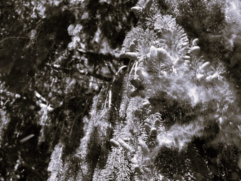 041922-01-Climate-Change