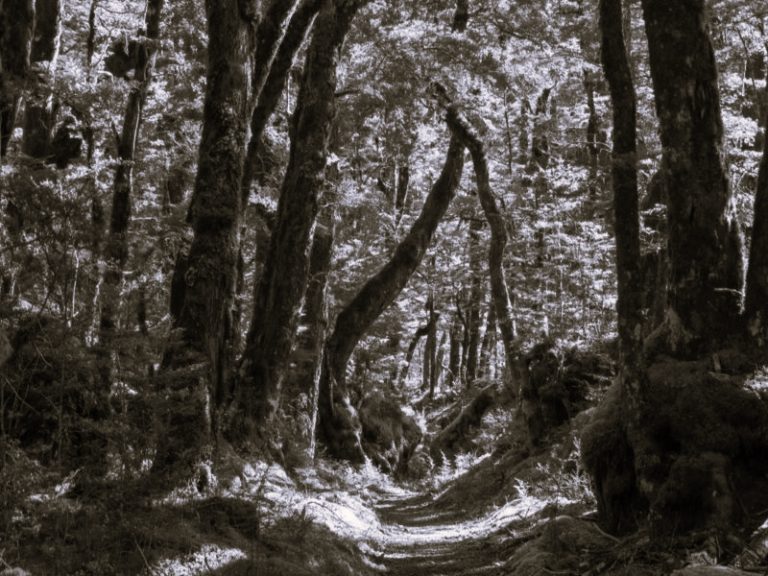 041922-07-Climate-Change