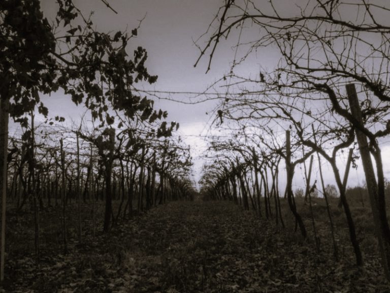 052322-07-Climate-Change