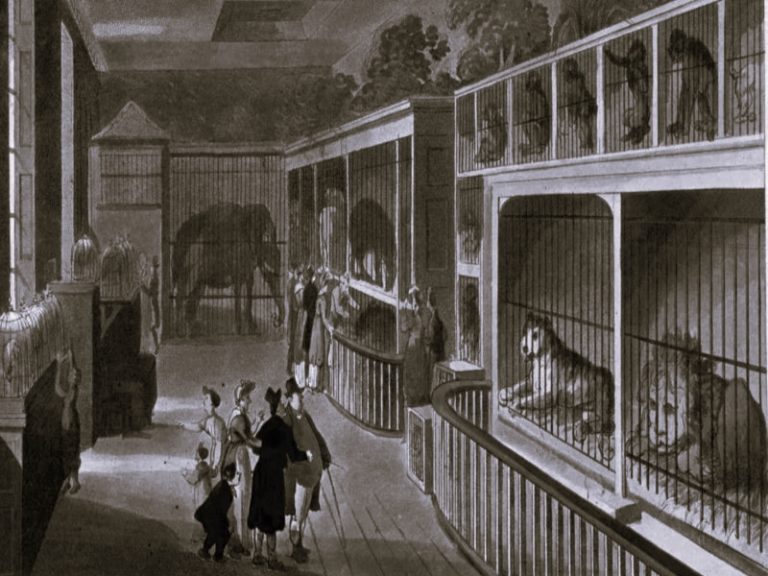 052422-01-History-Animals