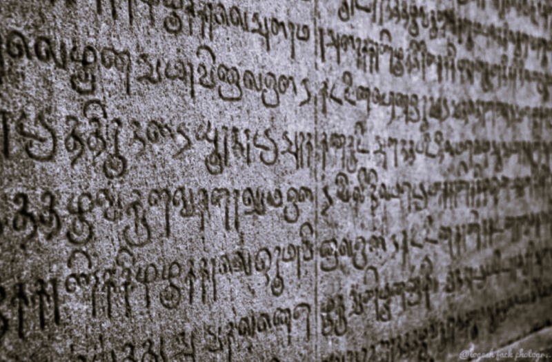 Language Evolution, Acquisition, Adaptation, and Change