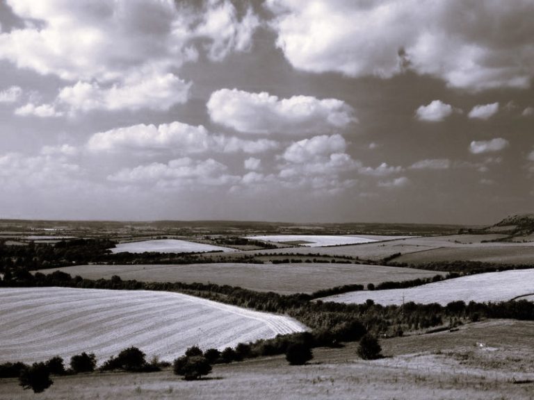 061322-12-Agriculture