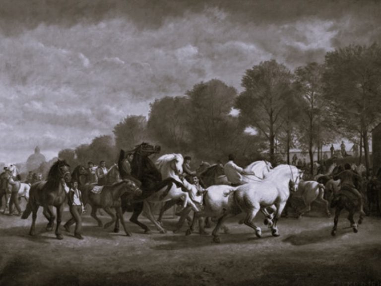 071422-16-History-Animals