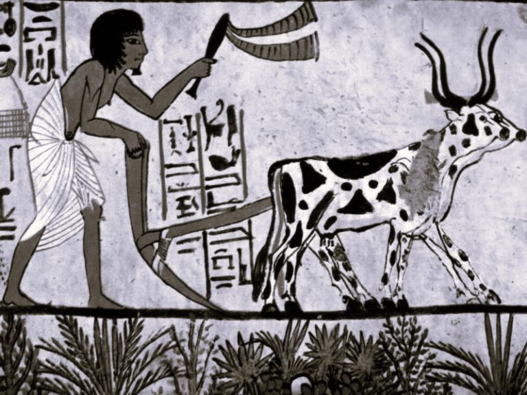 072122-01-History-Agriculture