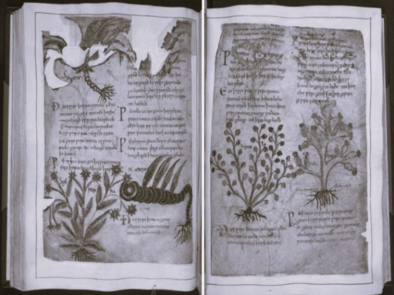 072522-36-History-Medicine