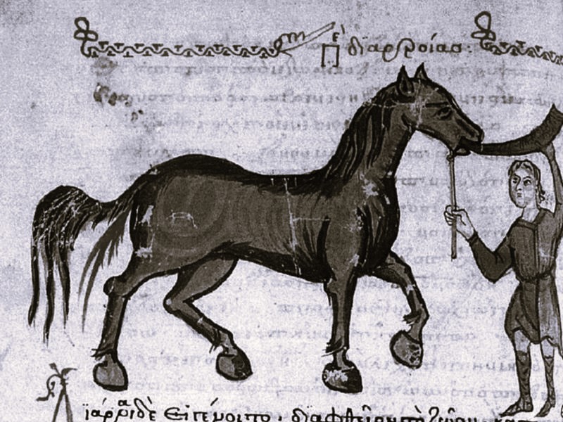 Did Veterinarians Exist During the Middle Ages?, The Animal Healers of  Medieval Europe, History