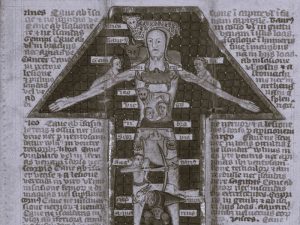 Astrology and the Body in the Enigma of the Medieval Medical Folding Almanac 14 080422-22-History-Medicine