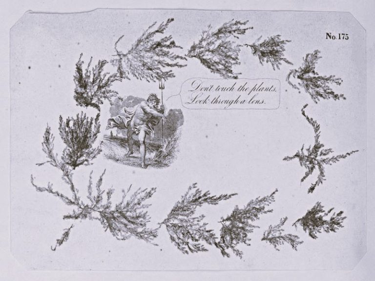 081622-03-History-Environment