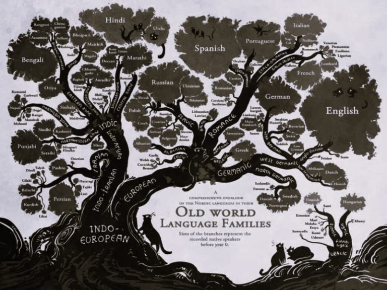 081722-01-History-Language